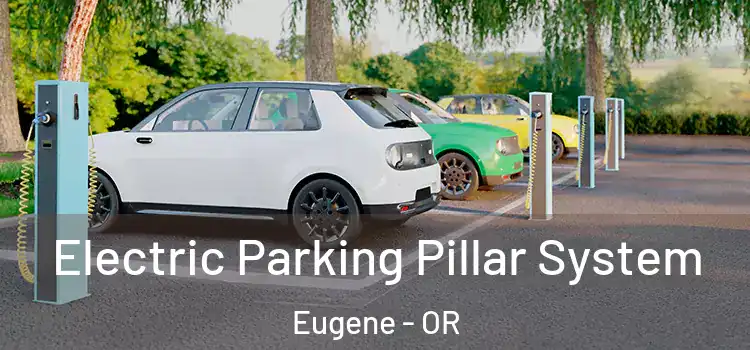  Electric Parking Pillar System Eugene - OR