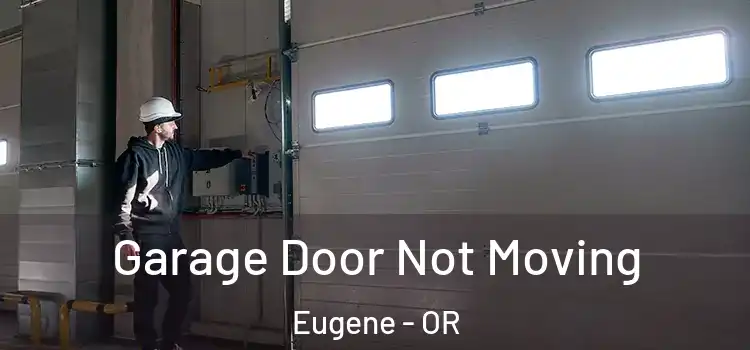  Garage Door Not Moving Eugene - OR