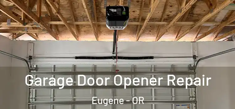  Garage Door Opener Repair Eugene - OR