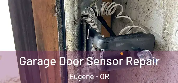  Garage Door Sensor Repair Eugene - OR