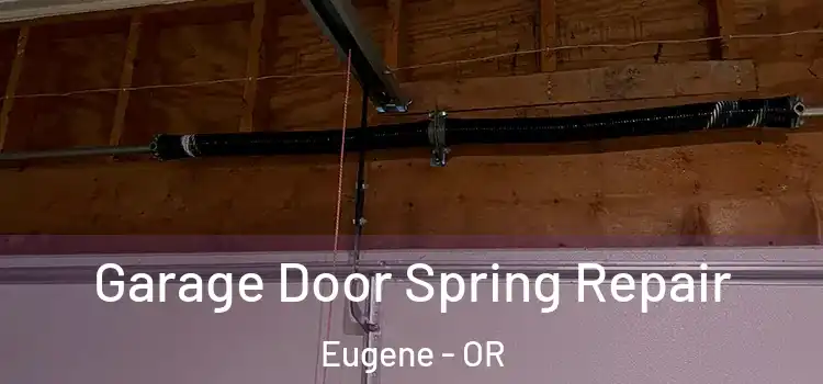 Garage Door Spring Repair Eugene - OR