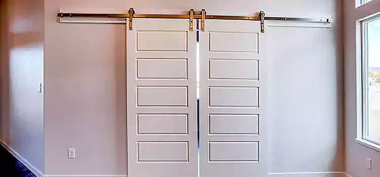 Glass Barn Door with Installation Hardware Kit Eugene