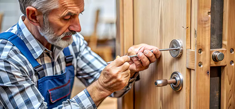 Mortise Replacement Lock Eugene