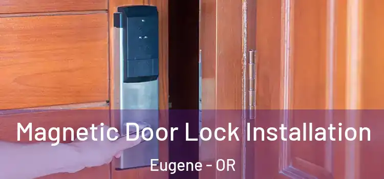  Magnetic Door Lock Installation Eugene - OR