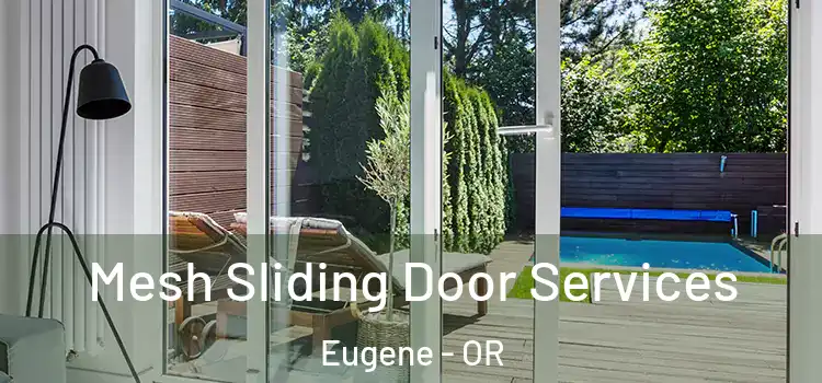  Mesh Sliding Door Services Eugene - OR